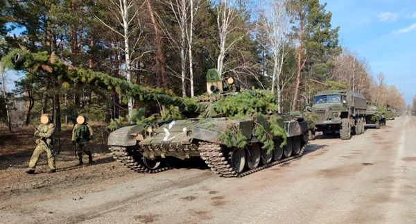 Танк, замаскированный хвойными ветками