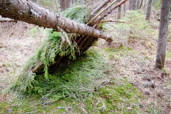 Простейший навес с кровлей из хвойного лапника