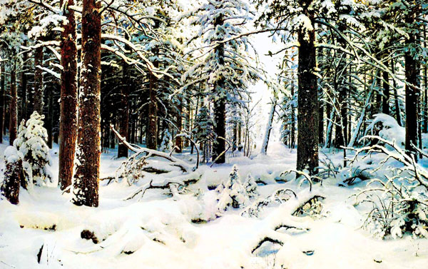 Лес. Зима